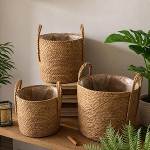 Può includere: Tre cesti intrecciati per piante di diverse dimensioni. I cesti sono realizzati in fibra naturale di colore marrone chiaro, con manici in corda. Ogni cesto ha un rivestimento interno in plastica trasparente. I cesti sono esposti su una mensola di legno.