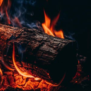May include: Close-up of a burning log in a fireplace. Bright orange flames engulf the dark brown wood, with hints of blue smoke rising. The scene is set against a dark background, highlighting the vibrant fire.