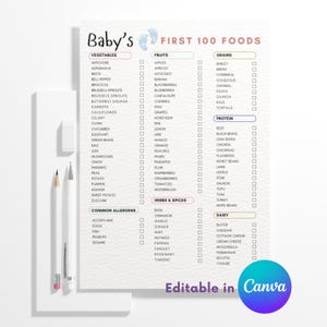 May include: A white checklist titled Baby's First 100 Foods with categories for vegetables, fruits, grains, protein, common allergens, herbs, spices, and dairy. Each item has a checkbox. A pencil and a stylus are positioned on the left side.