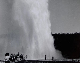 Original Vintage Photograph | The Geysers