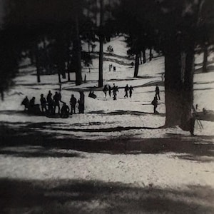 Original Antique Photograph | Sledding Through the Trees