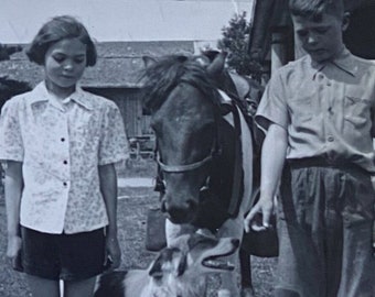 Photographie vintage originale | Notre chien, notre poney | 1954