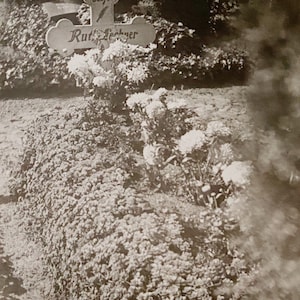 Original Vintage Photograph | Ruth’s Resting Place