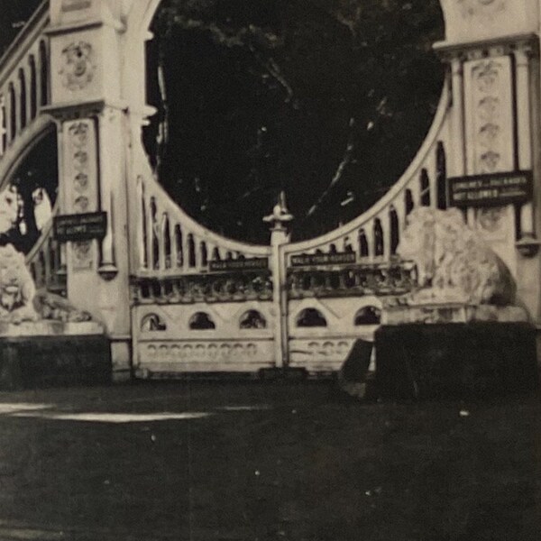 Original Antique Photograph | Inside the Circle