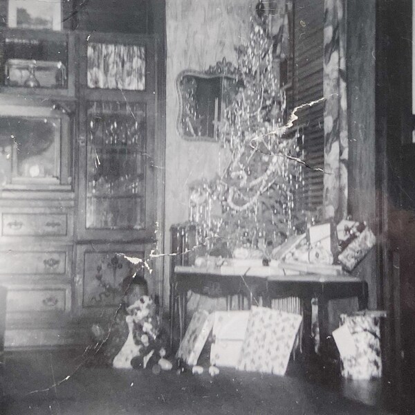 Original Vintage Photograph | A Victorian Holiday