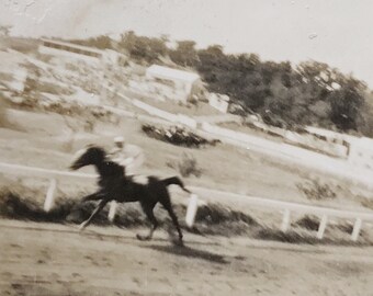 Original Vintage Photograph | The Racehorse