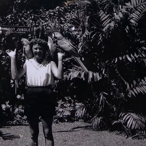 Original Vintage Photograph | Parrot Jungle