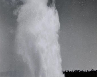 Original Vintage Photograph | The Geysers