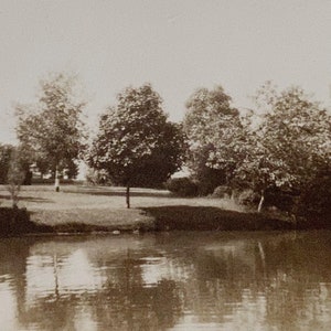 Original Antique Photograph | Park Views
