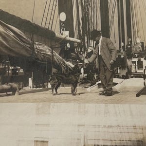 Original Antique Photograph | Ship Dog