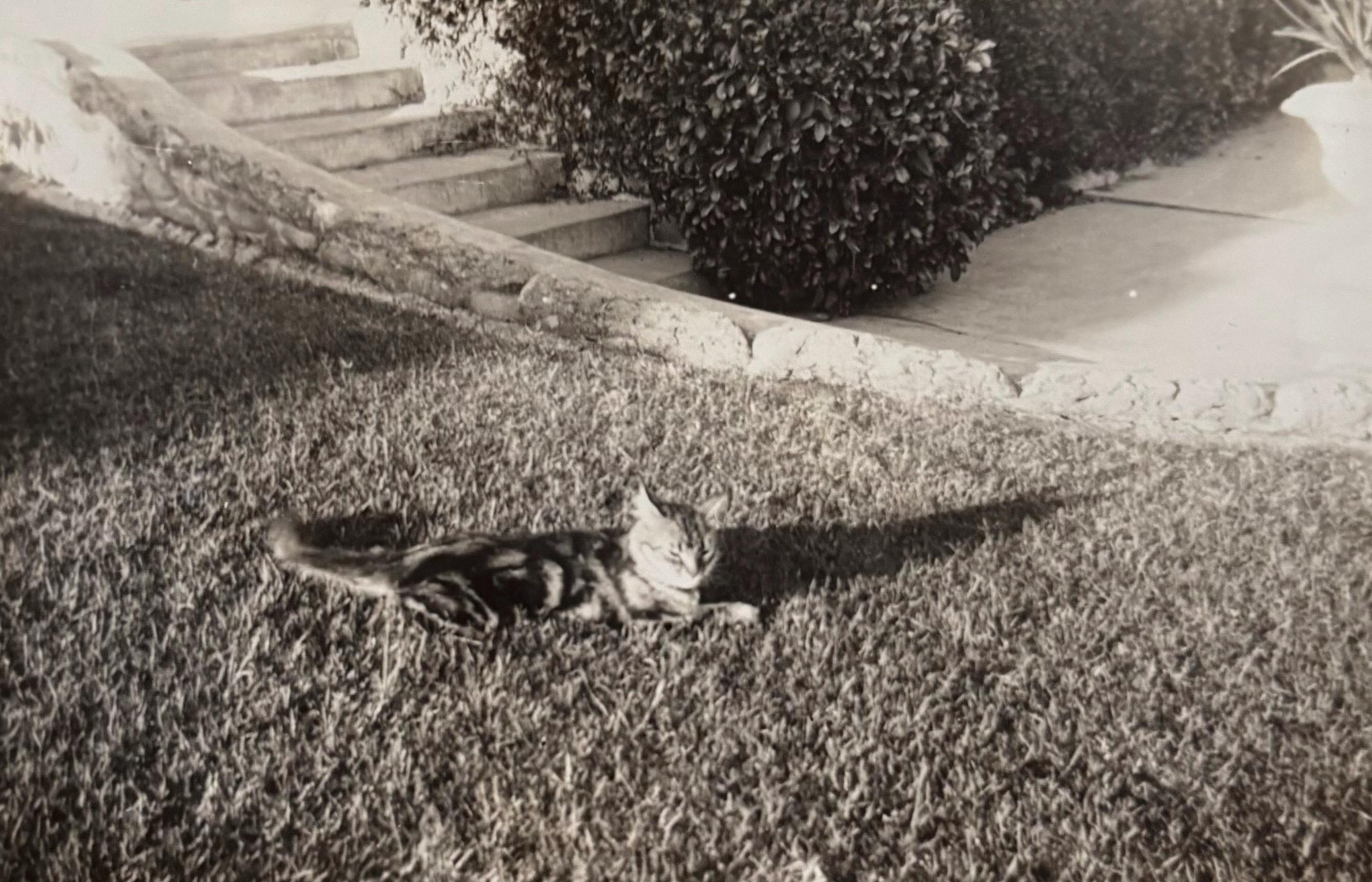 Original Vintage Photograph | Kitty Little