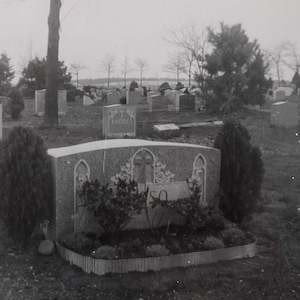 Original Vintage Photograph | Cemetery View