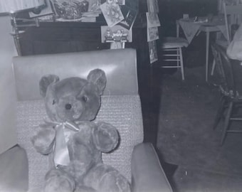 Original Vintage Photograph | Teddy Bear