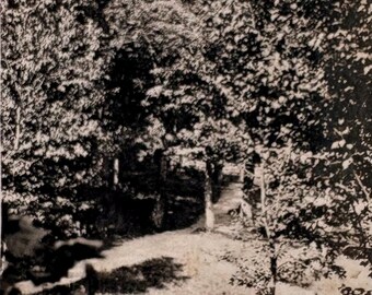 Photographie ancienne originale de RPPC | Il y a une silhouette dans les arbres