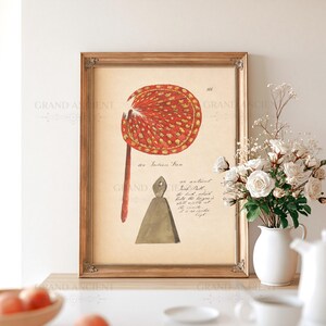 May include: A framed vintage-style botanical print featuring a red and gold circular fan illustration labeled an Indian Fan and a triangular object labeled an ancient Irish Bell, set against a cream-colored background with handwritten script text.