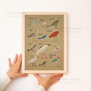 May include: A framed print featuring various bird illustrations in red, green, blue, and black on a tan background, interspersed with Egyptian hieroglyphic symbols. The artwork is enclosed in a light-colored wooden frame with a simple border.