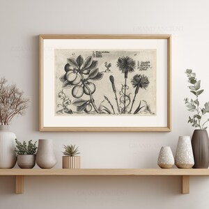 May include: A framed botanical print featuring detailed illustrations of various plants, including a fruit-bearing branch and several flowers. The artwork is in black and white, with intricate details and a vintage aesthetic. The frame is made of light-colored wood.