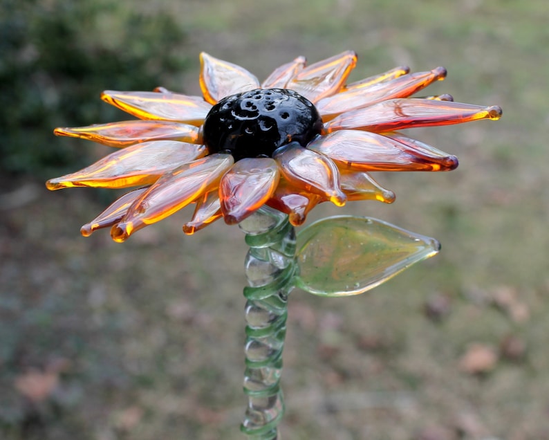 Black Eyed Susan Lampwork Hand Blown Glass Flowers Spring