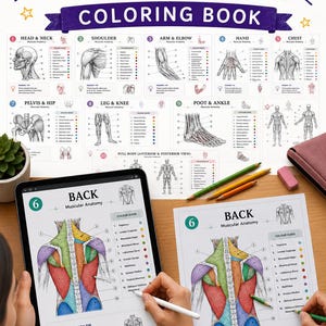May include: Anatomy coloring book with detailed illustrations of the human body, including the head, shoulder, arm, hand, chest, pelvis, leg, and foot. The image also shows a tablet and a printed page with a back muscular anatomy diagram.