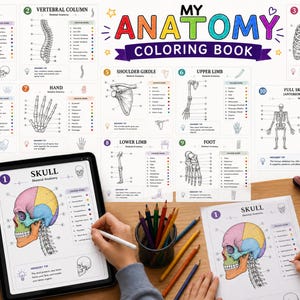 May include: Anatomy colouring book featuring diagrams of the human skeletal system. The image shows a tablet and a printed page with a skull diagram being coloured with coloured pencils. The text "My Anatomy Colouring Book" is visible.