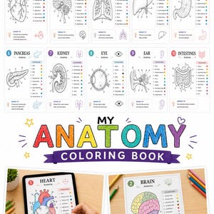 May include: A My Anatomy Colouring Book featuring ten educational pages with black and white line drawings of human organs including the heart, brain, lungs, liver, stomach, pancreas, kidney, eye, ear, and intestines with colour guides and memory tips.