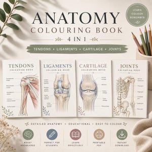 以下が含まれることがあります： Tendons、Ligaments、Cartilage、Jointsと題された4冊の解剖学塗り絵セット。各表紙にはラベル付きの詳細な解剖学的イラストが描かれています。このセットには教育用印刷可能PDFである旨のテキストが含まれており、隅には色鉛筆が入ったカップが見えます。