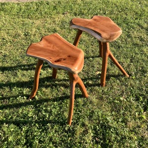 May include: Two small stools crafted from natural wood, each featuring a smooth, polished, irregular-shaped seat with visible grain patterns and three sturdy, branch-like legs that extend outward to provide a stable base for the furniture pieces.