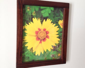 Single Opening Wall Hanging Frame for 8X10, 5X7, 4X6, Square Pictures, or Custom Size