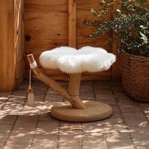 Peut inclure: Arbre à chat avec un coussin blanc et moelleux, soutenu par une branche en bois naturel et un poteau enroulé de corde. La base est une plateforme ronde enveloppée de corde. Une petite gland pend sur le côté. Pour chats d'intérieur.