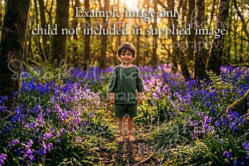 Bluebell Wood Digital Background, Enchanted Forest Backdrop for ...