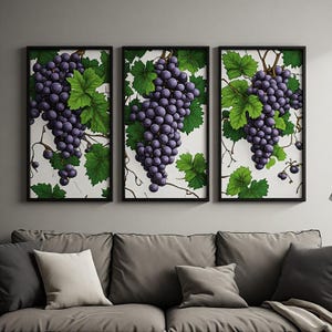Può includere: Un set di tre quadri verticali incorniciati che formano un trittico. Ogni stampa mostra un'illustrazione dettagliata di grappoli d'uva viola scuro appesi a tralci marroni, circondati da foglie verdi vivaci su uno sfondo bianco.