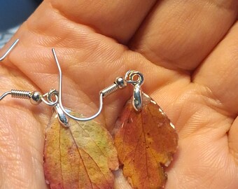 Real Leaf Earrings, Forest Fairy Jewelry, Autumn Leaf Earrings, Botanical Resin Earrings, Nature Inspired Gift for Her, Handmade Jewelry
