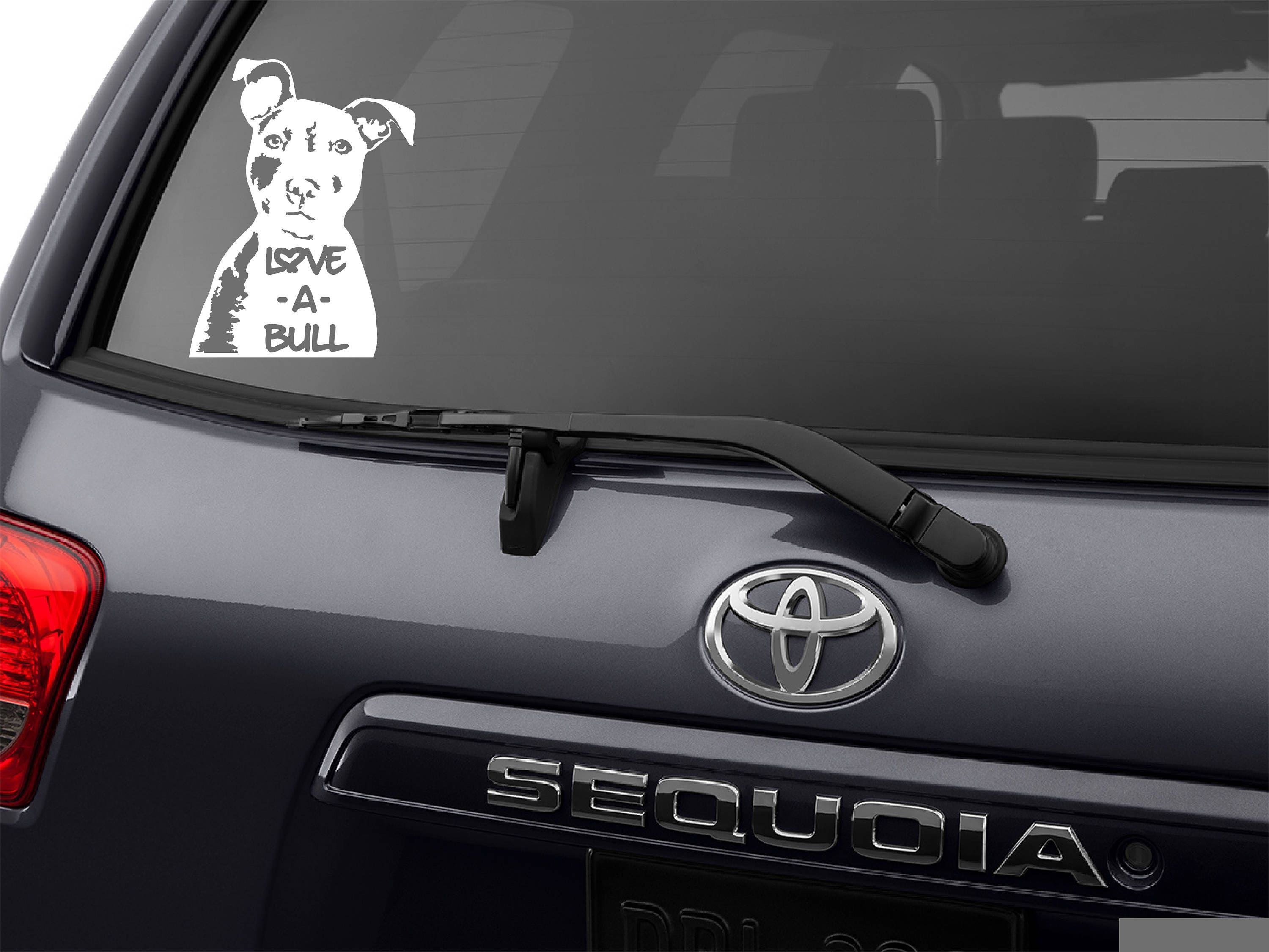 pitbull decal