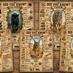 Puede incluir: Un conjunto de carteles educativos que presentan información sobre grandes felinos, como una pantera negra, un tigre, un guepardo, un caracal y un león. Cada cartel incluye el texto "¿SABÍAS QUÉ?" y datos, con ilustraciones. Los carteles están sobre un fondo de madera.