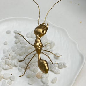 May include: A gold-coloured ant figurine with a smooth, metallic finish and thin wire-like legs and antennae. The insect sculpture features a segmented body and is positioned with its head tilted upwards, showcasing a detailed, stylised form.