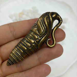 Könnte beinhalten: Ein metallischer Anhänger in Messingoptik, geformt wie eine stilisierte Insektenpuppe oder Chrysalis. Das Objekt weist komplexe, erhabene Texturen auf, darunter segmentierte Linien, punktierte Muster und einen gebogenen, hakenartigen Vorsprung.