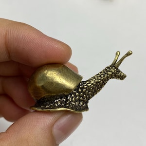 Puede incluir: Una pequeña figura de caracol hecha de latón con una concha lisa y redondeada, además de un cuerpo texturizado con dos antenas prominentes. El metal tiene un acabado dorado y marrón con zonas oscuras que resaltan los detalles.