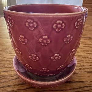 Puede incluir: Una maceta de cerámica color rosa polvoriento con su plato a juego, que presenta un patrón en relieve de pequeñas flores de cuatro pétalos dispuestas en una cuadrícula repetitiva sobre la superficie exterior del recipiente redondeado.