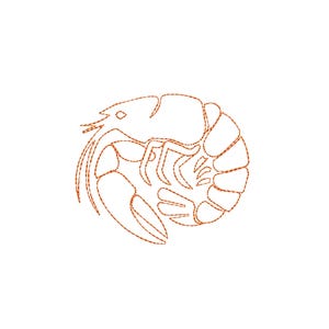 Puede incluir: Un diseño de bordado con contorno naranja de un camarón, que presenta un crustáceo estilizado con partes del cuerpo segmentadas, antenas largas y pinzas, representado con un patrón de puntada discontinua sobre fondo blanco.