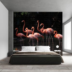 May include: A large wall mural featuring a group of vibrant pink flamingos standing in dark water. The scene depicts several flamingos with long necks and slender legs, set against a dark, shadowy background. The mural covers the entire wall.