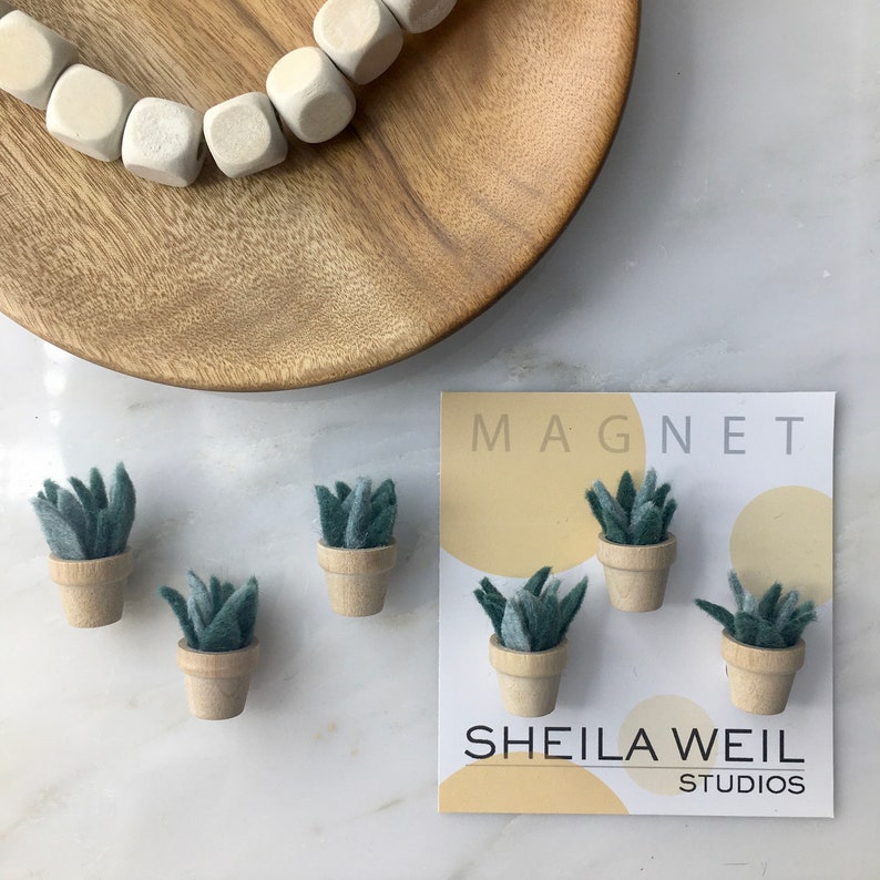 Felt Succulent Set of 3 Plant Miniature Etsy