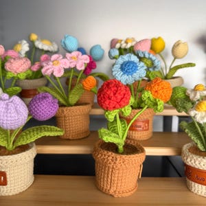 Puede incluir: Una colección de flores de ganchillo coloridas en pequeñas macetas marrones. Las flores son de varios colores, incluyendo rosa, azul, amarillo y morado. Las macetas están dispuestas en estantes de madera, creando una exhibición encantadora.