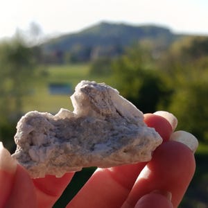 May include: A light gray, rough-textured mineral specimen with crystalline formations. The stone is held in a hand, with a blurred green and brown background of trees and a hill.