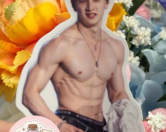 May include: A die-cut sticker featuring a shirtless person with blonde hair, wearing a dark belt with metallic accents and two silver necklaces. The sticker includes a circular logo in the bottom left corner with the text ApotheCraft Studio.