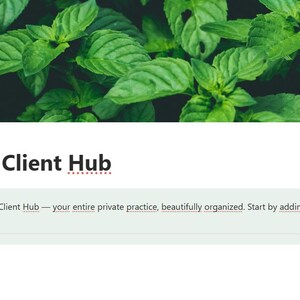 Notion Template for Therapists | Private Practice Client Management System (PDF)