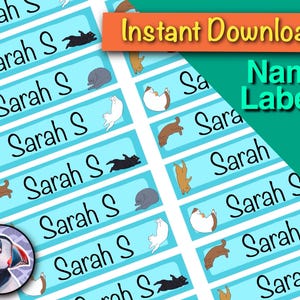 Cat Name Labels | Colourful Organizing Stickers (Digital Download)