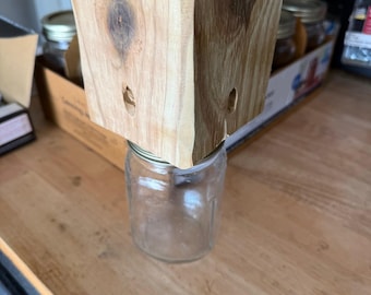 Reusable Wooden Glass Carpenter Bee Trap Outdoor Hanging Insect Catcher