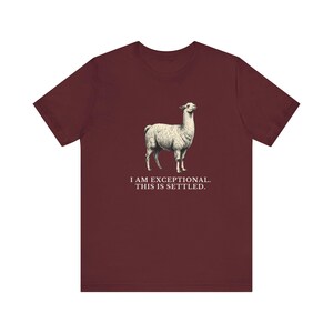 Exceptional This Is Settled Shirt, Funny Llama Tee, Self Confidence Gift, Bold Statement Graphic T-Shirt, Llama Lover image 18