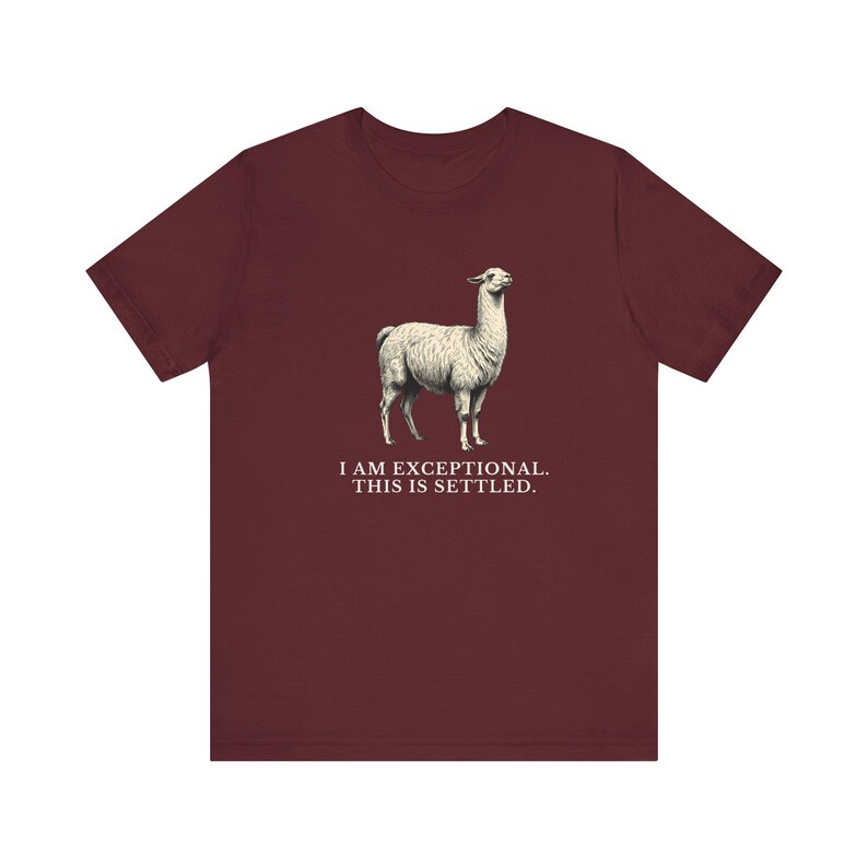 Exceptional This Is Settled Shirt, Funny Llama Tee, Self Confidence Gift, Bold Statement Graphic T-Shirt, Llama Lover image 18