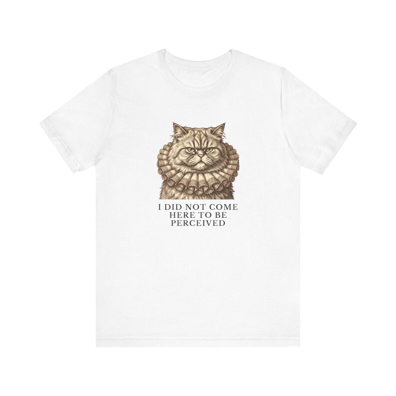 Did Not Come To Be Perceived T-Shirt image 4